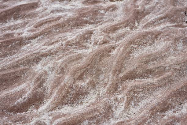 istock fine ripple marks on the beach surrounded by fine white sand 1452363184