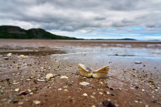 Gruinard, Gruinard Beach, Gruinard Bay, Scotland, Highlands, Achnasheen