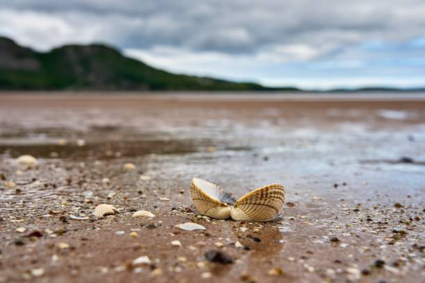 Gruinard, Gruinard Beach, Gruinard Bay, Scotland, Highlands, Achnasheen