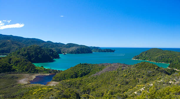 istock New Zealand Bay 145236625
