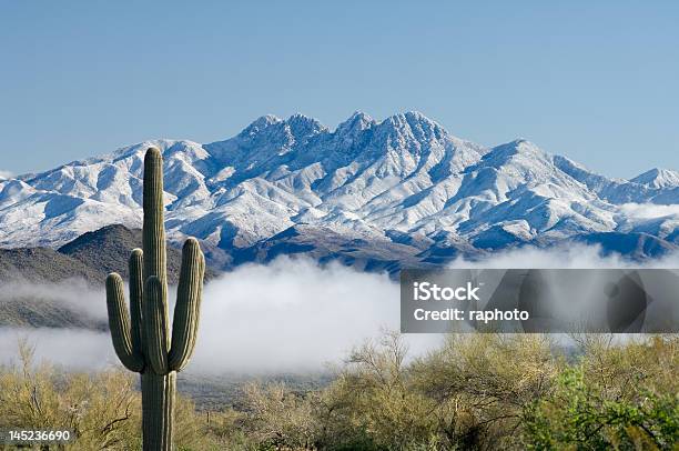 Saguaro Und Four Peaks Stockfoto und mehr Bilder von Schnee - Schnee, Kaktus, Kandelaberkaktus