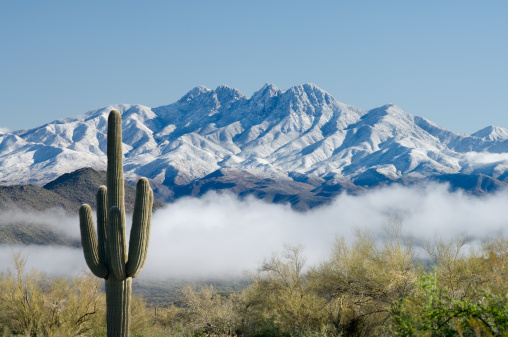 A thick blanket of fog hovers over the Salt River in Central Arizona following a winter storm that delivered a fresh coating of snow on Four Peaks and the surrounding foothills.