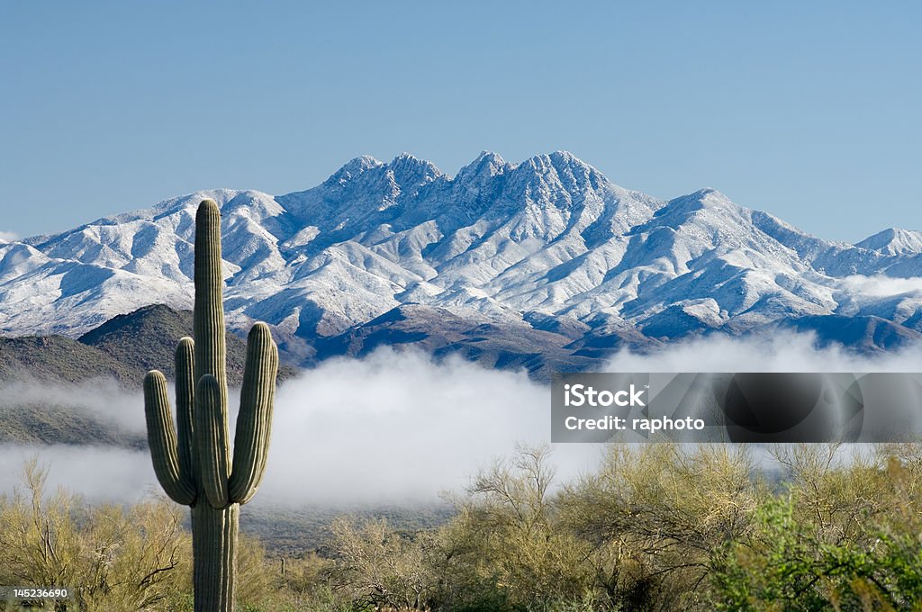 E quatro picos de carnegia gigantea - Royalty-free Neve Foto de stock