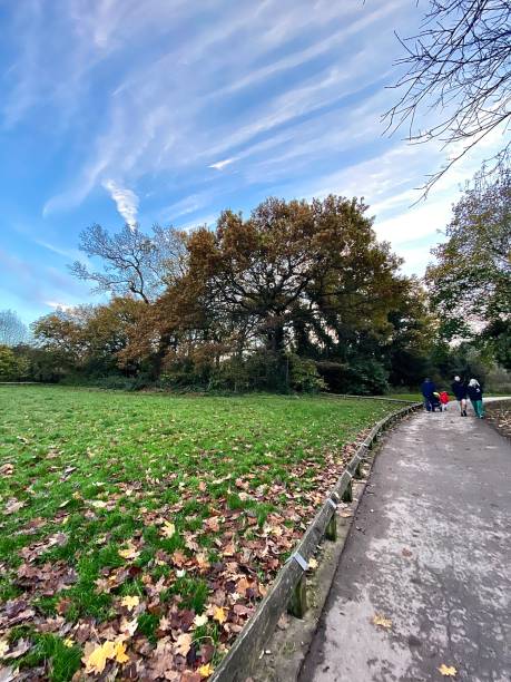 istock A walk in the park under a cloudy sky with a hidden mystery! 1452367251