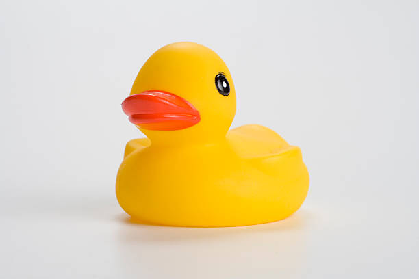 istock Rubber Ducky-You're The One 145236823