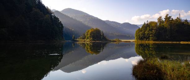 istock Lake Weitsee surrounded by trees and mountains in Germany 1452368595