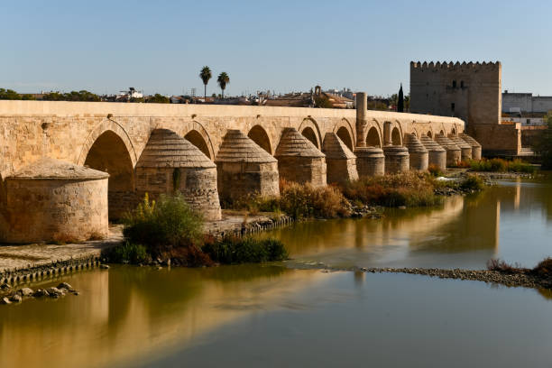istock Roman Bridge - Cordoba, Spain 1452370111