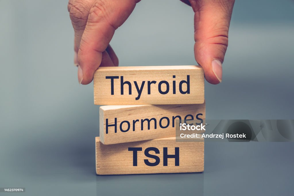 thyroid, hormones, tsh, health concept, endocrine gland study, human endocrine system, energy balance, metabolism regulation, hyper and hypothyroidism Thyroid Gland Stock Photo