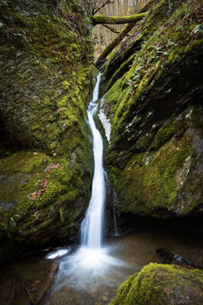 istock Vertical long exposure of the water falling down a mesmerizing creek fall through mossy rocks 1452371709