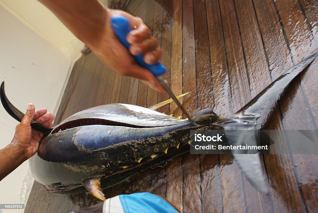 Рыба резания - Стоковые фото XXI век роялти-фри