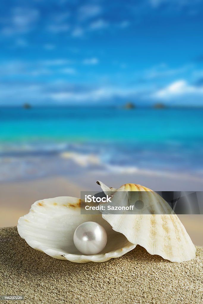 pearl Oyster Pearl Stock Photo