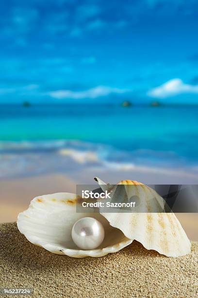 Pearl Stock Photo - Download Image Now - Oyster Pearl, Pearl Jewelry, Animal Shell