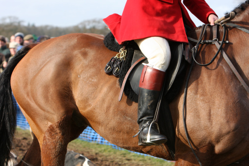 Huntsman wearing a red coat with details of the saddlery