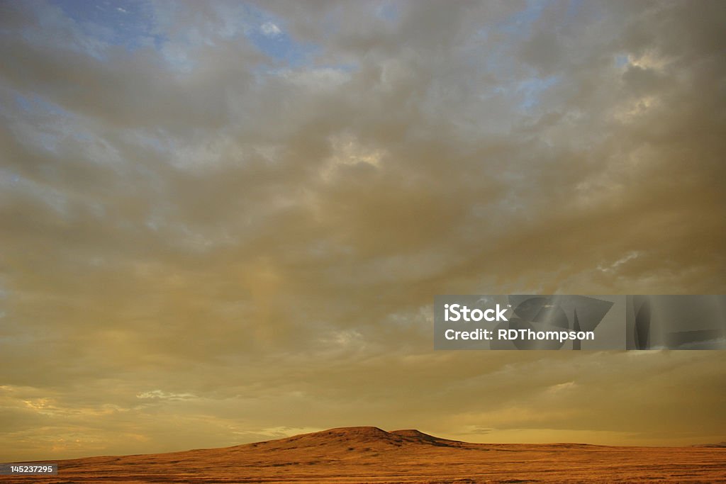 Crescendo pradaria, Black Hills Dakota do Sul - Royalty-free Dakota do Sul Foto de stock