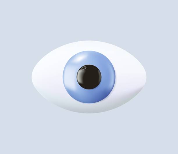 ilustraciones, imágenes clip art, dibujos animados e iconos de stock de icono eye 3d. vista, icono de interfaz de símbolo de visión. identificación, salud, investigación, concepto óptico. vector de renderizado 3d - globo ocular