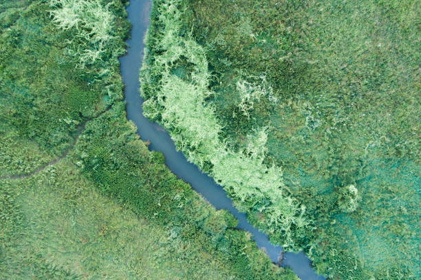 istock Aerial landscape view over the river, Russia 1452375768
