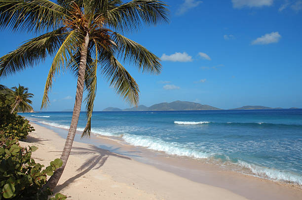 istock Deserted Caribbean beach 145237711