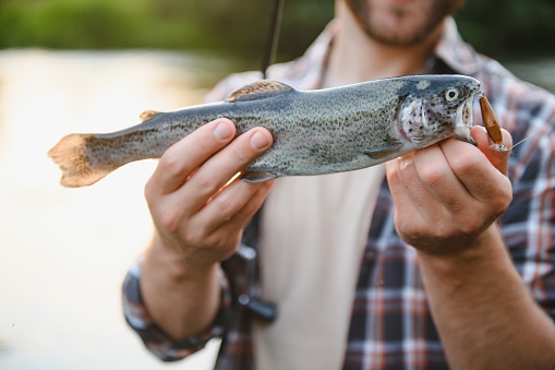 Happy fisherman holding a fish caught. Fishing on the beautiful river