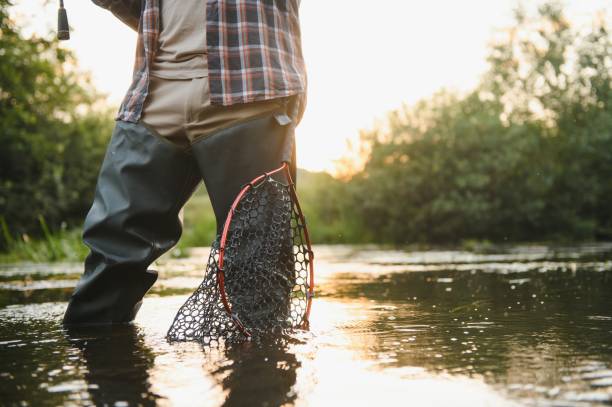 istock Trout fishing in the mountain river 1452379083