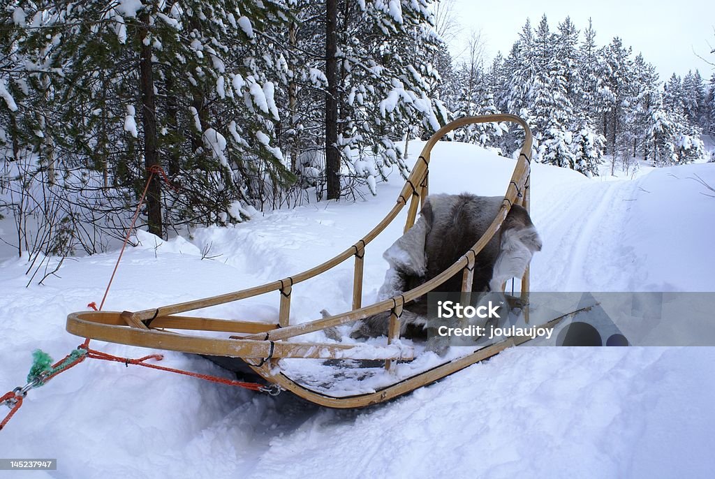 traditional wooden dogsled a traditional wooden dogsled in Finland. (SONY DSC)                      Animal Body Part Stock Photo