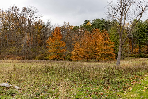 Fall Color Foliage Hits Cuyahoga Valley National Park