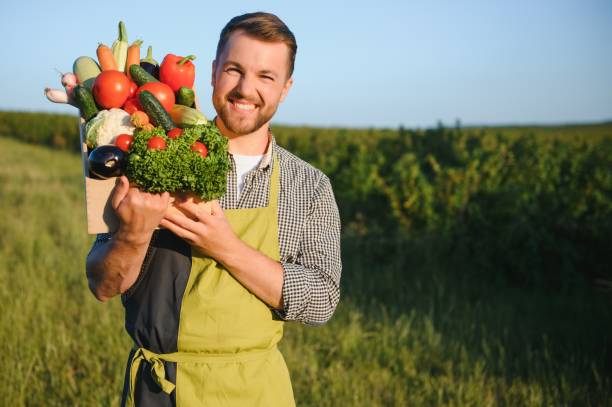 istock Wooden box filled fresh vegetables 1452380982