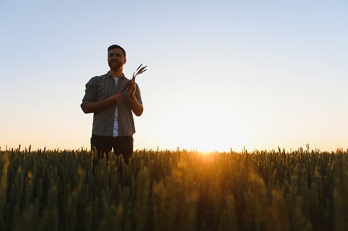 silhouette of man looking at beautiful landscape in a field at sunset