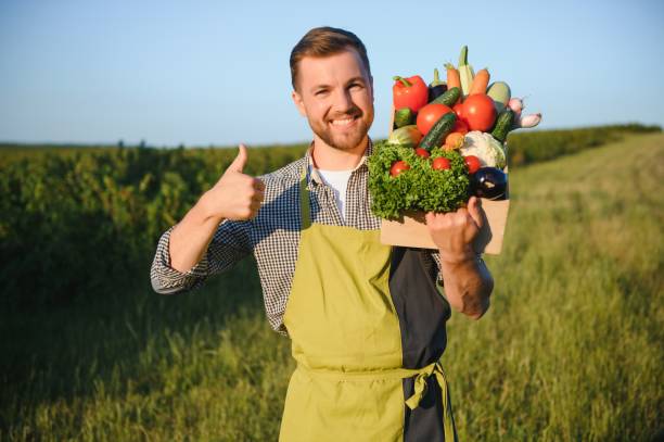 istock Wooden box filled fresh vegetables 1452380995