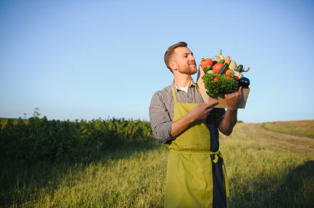 istock Male farmer holding box with vegetables in field 1452380997