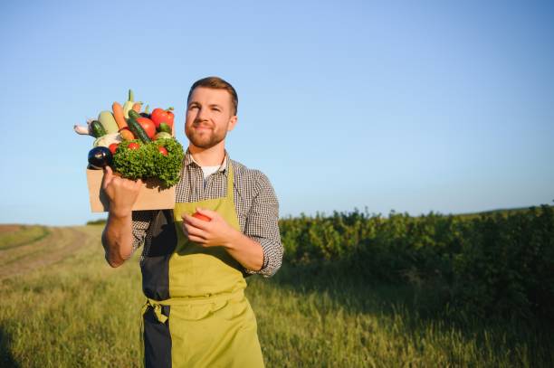 istock Male farmer holding box with vegetables in field 1452380999
