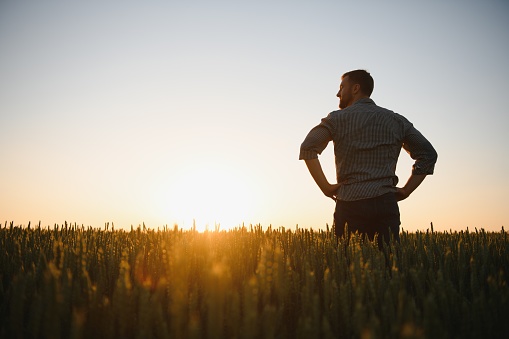 Silhouette of mature man walking on mountain trail against sky at dusk.