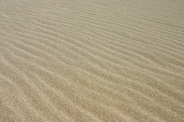 Sand Dunes stock photo