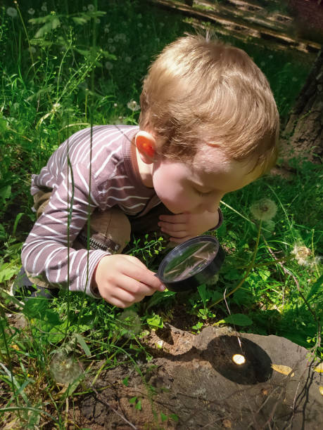 istock Little boy with magnifying glass outdoors 1452381921