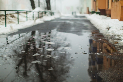 Melting snow. Spring