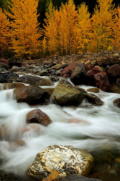 istock Autumn in Glacier National Park 145238326