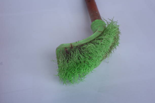 istock green toilet brush 1452387034
