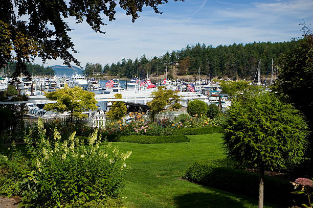 istock Roche Harbor in the San Juan Islands 145239082