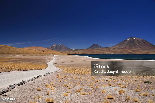 Laguna Miscanti - zdjęcia stockowe i więcej obrazów Altiplano - Altiplano, Ameryka Południowa, Atakama