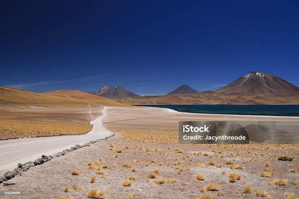 Laguna Miscanti - Стоковые фото Альтиплано роялти-фри