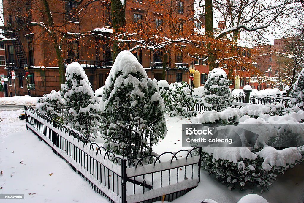 Boston en hiver - Photo de Architecture libre de droits