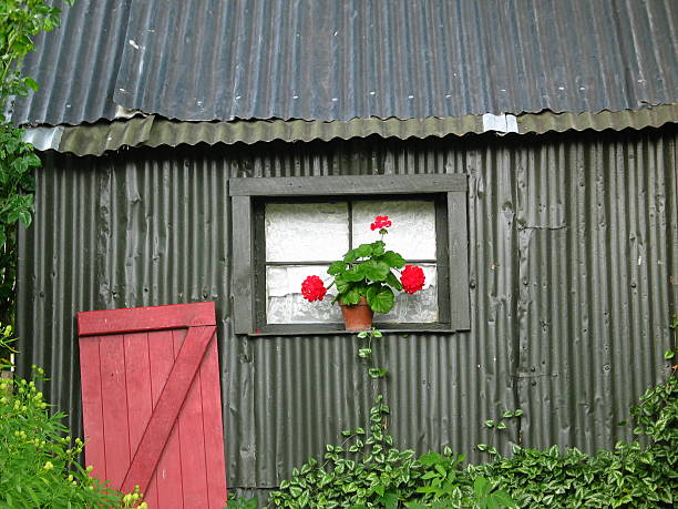 istock Old Cottage With Flowerpot and Door 145239667