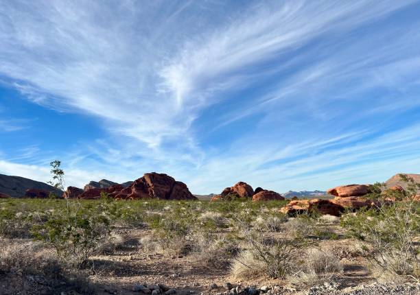 istock Valley of fire nevada 1452397119