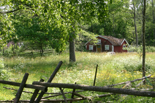 Cute Swedish cottage in the countryside in summer