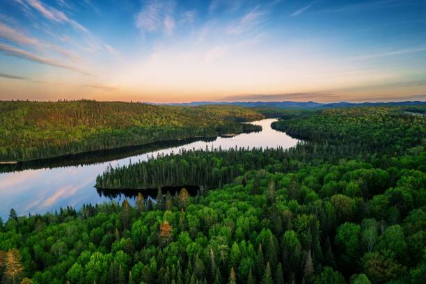 istock River in a green field under cloudy sky at sunset in Quebec, Canada 1452398490