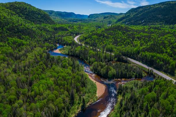 istock Narrow river and road between trees and greenery with mountains in the background under cloudy sky 1452398503
