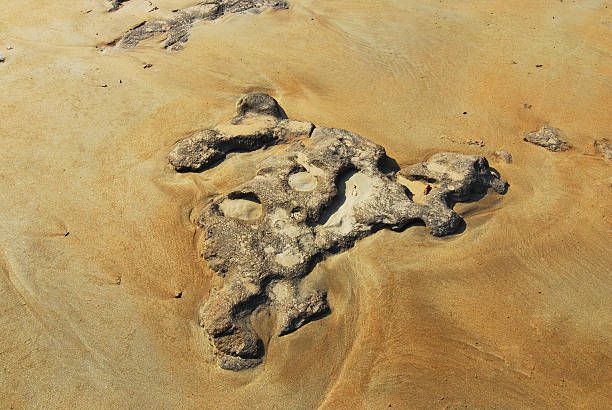 istock Sand swirls around a beach stone 145240197