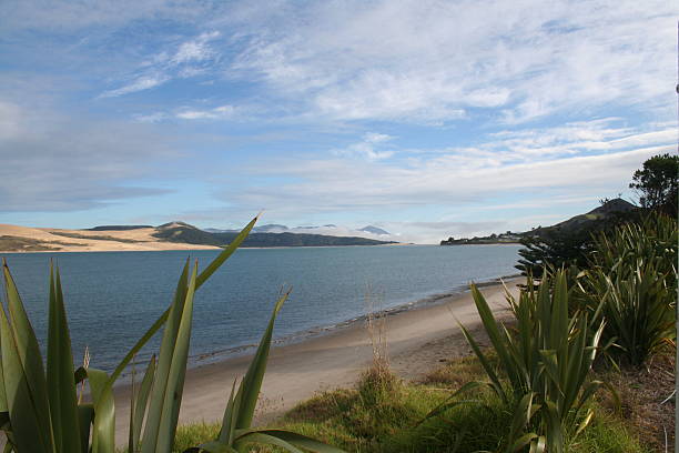 istock Kaitaiu, New Zealand 145240752