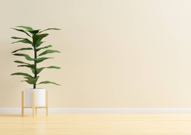 istock The living room has space. For activities, there are trees and sofa. 3d illustration 1452408711