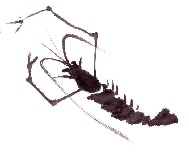 istock shrimps, chinese traditional ink painting on rice paper 1452410836