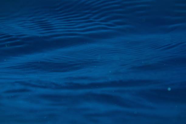 istock Closeup shot of deep blue water surface 1452411967